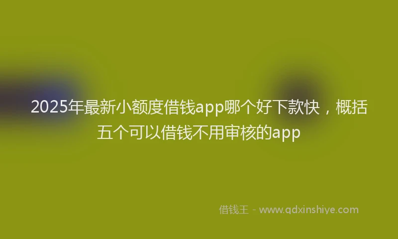 2025年最新小额度借钱app哪个好下款快，概括五个可以借钱不用审核的app