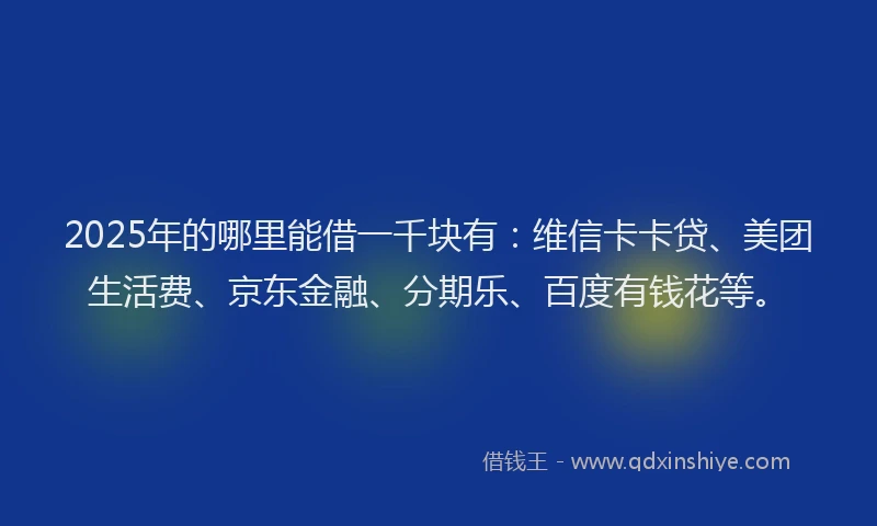2025年的哪里能借一千块有：维信卡卡贷、美团生活费、京东金融、分期乐、百度有钱花等。