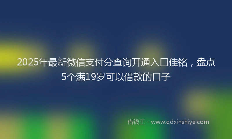 2025年最新微信支付分查询开通入口佳铭，盘点5个满19岁可以借款的口子