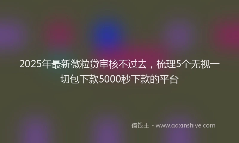 2025年最新微粒贷审核不过去，梳理5个无视一切包下款5000秒下款的平台