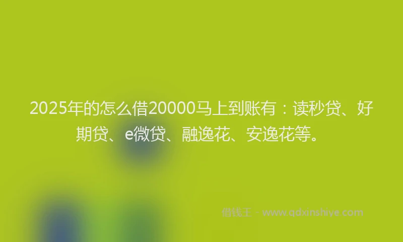 2025年的怎么借20000马上到账有：读秒贷、好期贷、e微贷、融逸花、安逸花等。