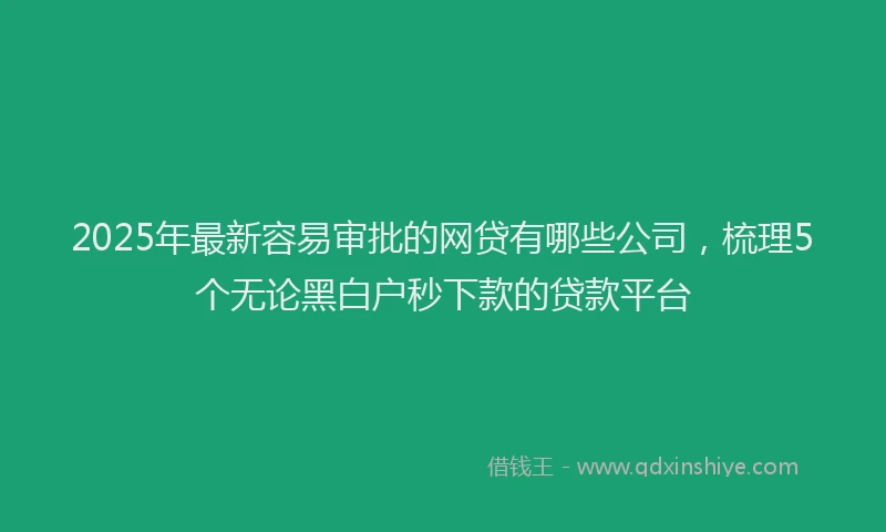 2025年最新容易审批的网贷有哪些公司，梳理5个无论黑白户秒下款的贷款平台