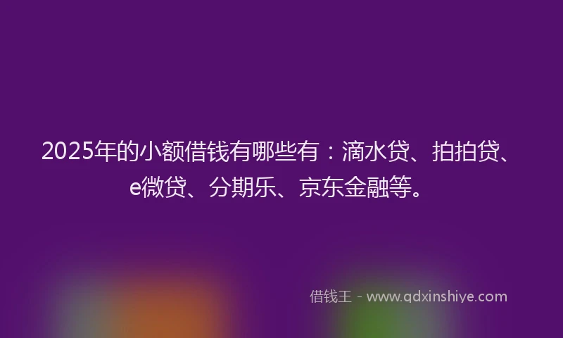 2025年的小额借钱有哪些有：滴水贷、拍拍贷、e微贷、分期乐、京东金融等。