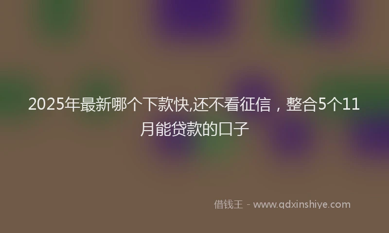 2025年最新哪个下款快,还不看征信，整合5个11月能贷款的口子