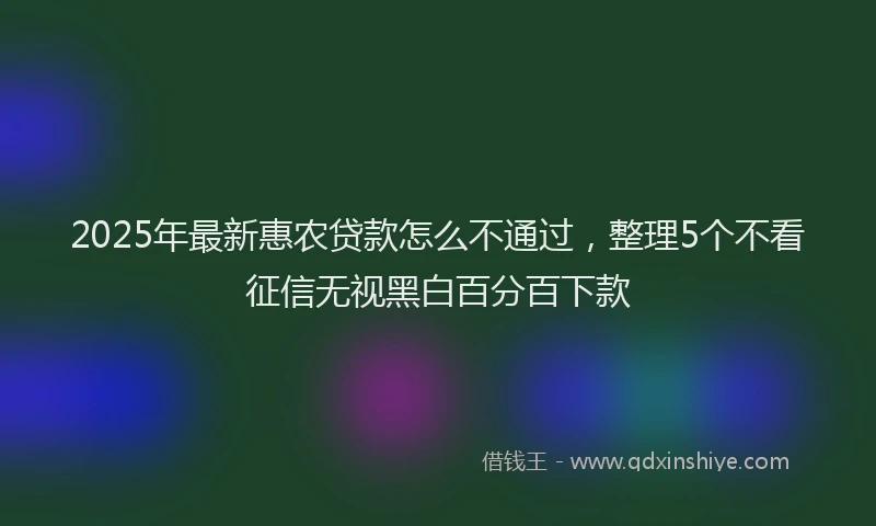 2025年最新惠农贷款怎么不通过，整理5个不看征信无视黑白百分百下款