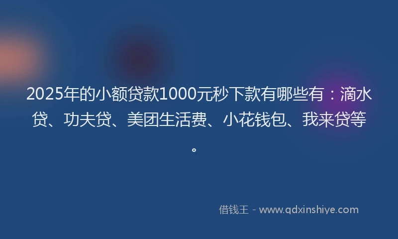 2025年的小额贷款1000元秒下款有哪些有：滴水贷、功夫贷、美团生活费、小花钱包、我来贷等。