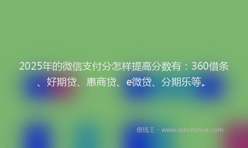 2025年的微信支付分怎样提高分数有：360借条、好期贷、惠商贷、e微贷、分期乐等。