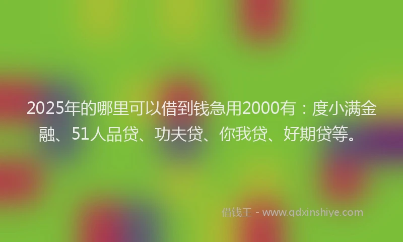 2025年的哪里可以借到钱急用2000有：度小满金融、51人品贷、功夫贷、你我贷、好期贷等。