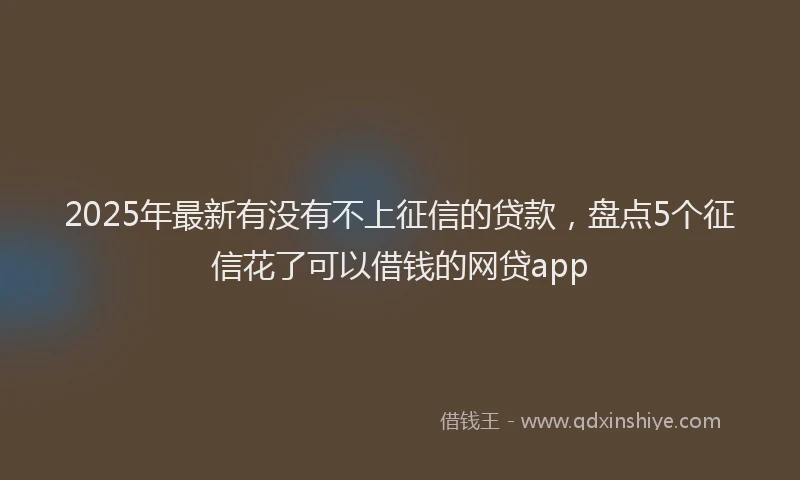 2025年最新有没有不上征信的贷款，盘点5个征信花了可以借钱的网贷app