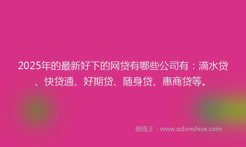 2025年的最新好下的网贷有哪些公司有：滴水贷、快贷通、好期贷、随身贷、惠商贷等。