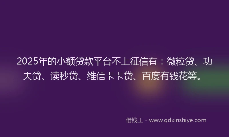 2025年的小额贷款平台不上征信有：微粒贷、功夫贷、读秒贷、维信卡卡贷、百度有钱花等。