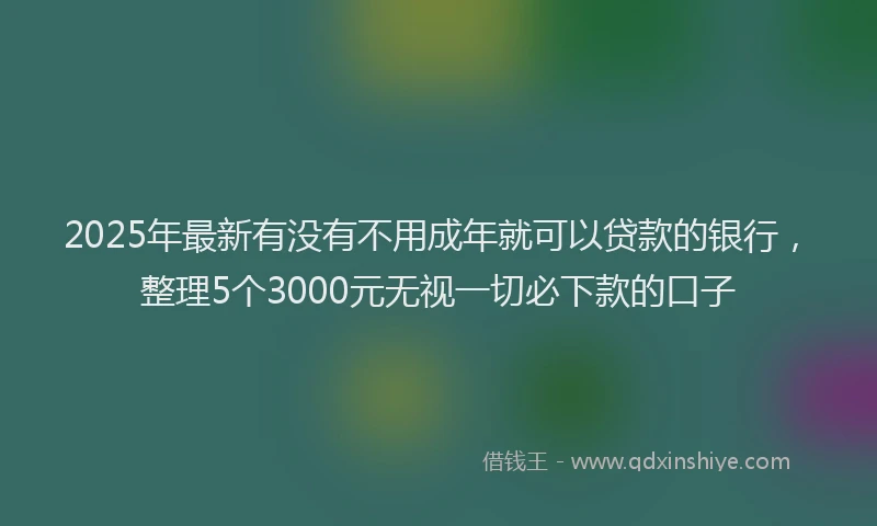 2025年最新有没有不用成年就可以贷款的银行，整理5个3000元无视一切必下款的口子