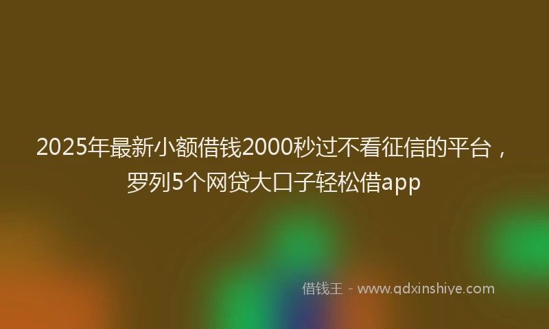 2025年最新小额借钱2000秒过不看征信的平台，罗列5个网贷大口子轻松借app
