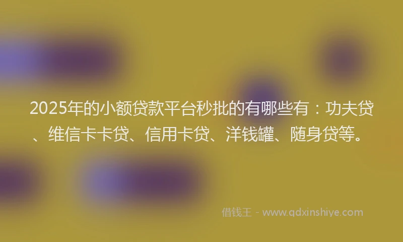 2025年的小额贷款平台秒批的有哪些有：功夫贷、维信卡卡贷、信用卡贷、洋钱罐、随身贷等。