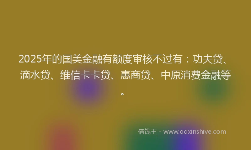 2025年的国美金融有额度审核不过有：功夫贷、滴水贷、维信卡卡贷、惠商贷、中原消费金融等。