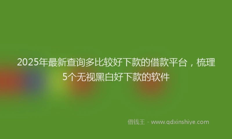 2025年最新查询多比较好下款的借款平台，梳理5个无视黑白好下款的软件