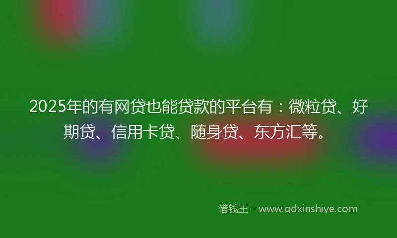 2025年的有网贷也能贷款的平台有：微粒贷、好期贷、信用卡贷、随身贷、东方汇等。