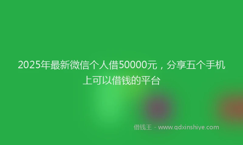 2025年最新微信个人借50000元，分享五个手机上可以借钱的平台