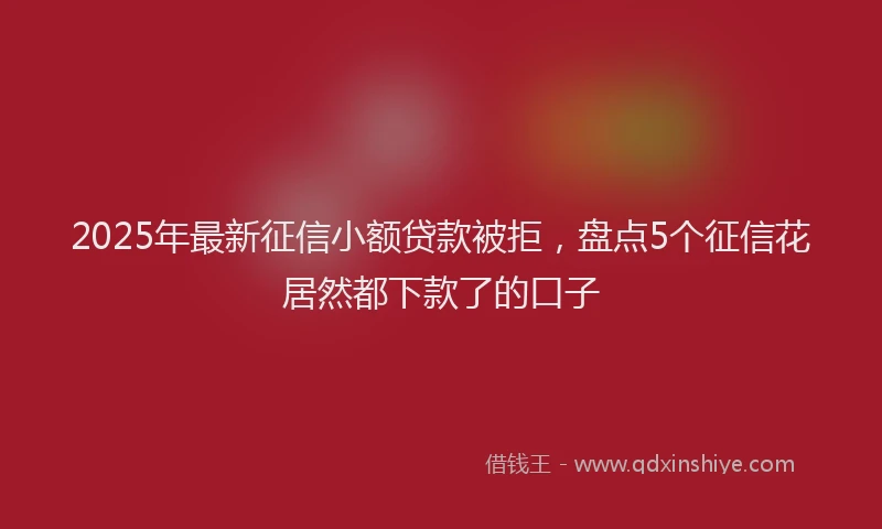 2025年最新征信小额贷款被拒，盘点5个征信花居然都下款了的口子