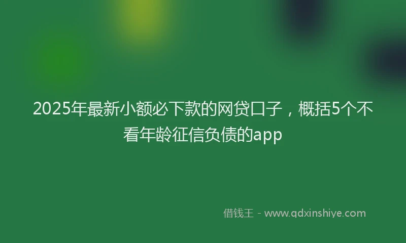 2025年最新小额必下款的网贷口子，概括5个不看年龄征信负债的app