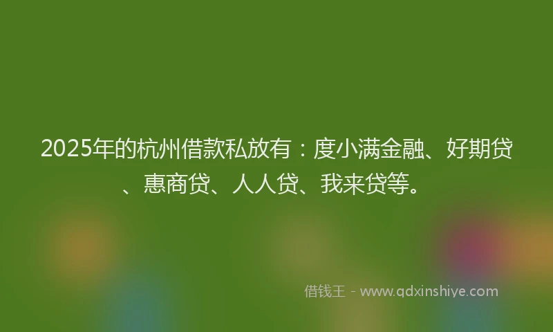 2025年的杭州借款私放有：度小满金融、好期贷、惠商贷、人人贷、我来贷等。