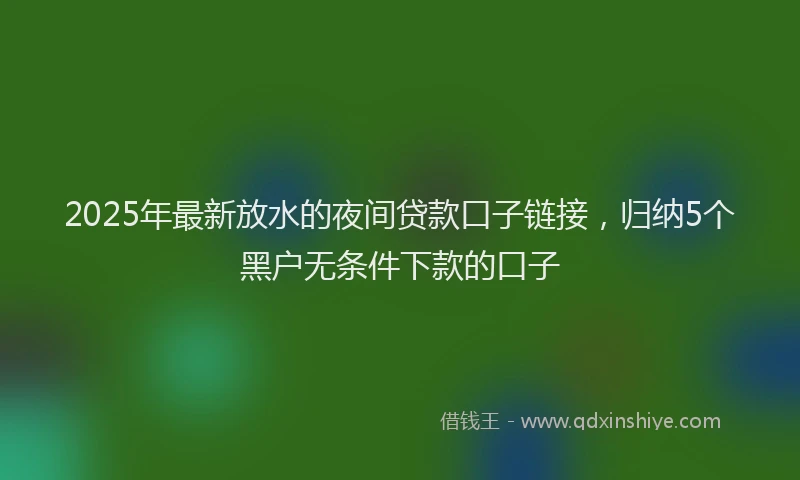 2025年最新放水的夜间贷款口子链接，归纳5个黑户无条件下款的口子