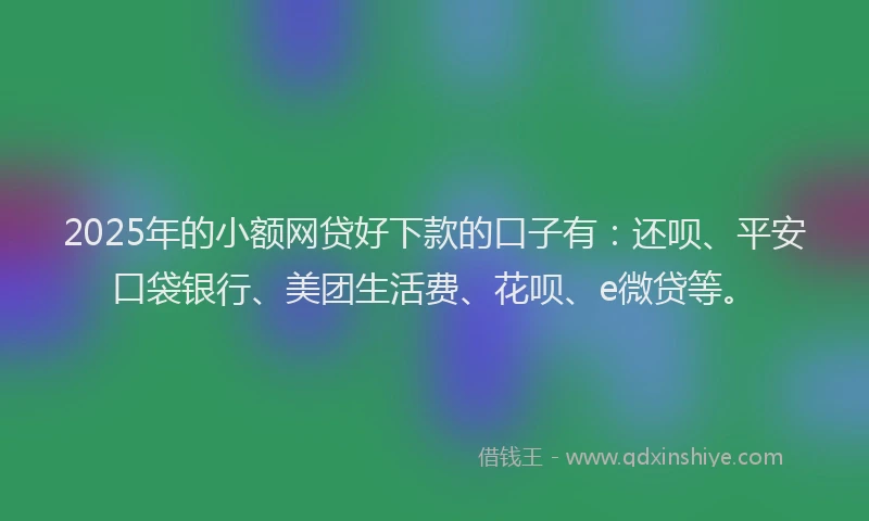 2025年的小额网贷好下款的口子有：还呗、平安口袋银行、美团生活费、花呗、e微贷等。