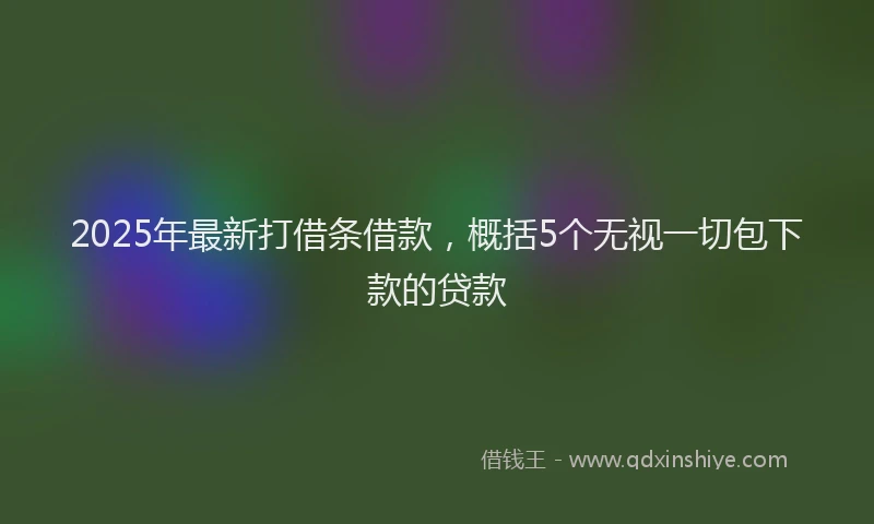 2025年最新打借条借款，概括5个无视一切包下款的贷款