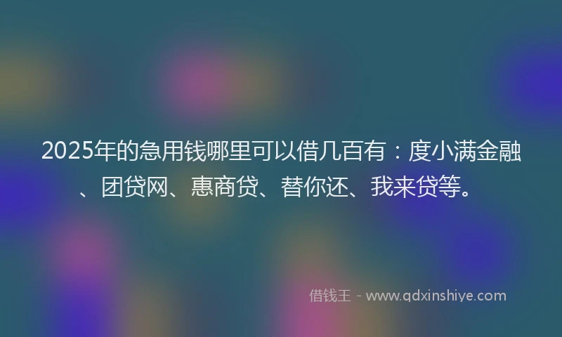 2025年的急用钱哪里可以借几百有：度小满金融、团贷网、惠商贷、替你还、我来贷等。