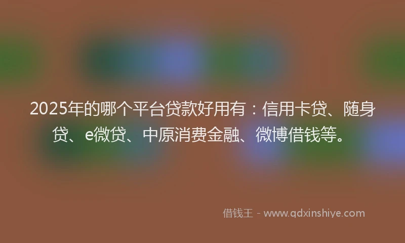 2025年的哪个平台贷款好用有：信用卡贷、随身贷、e微贷、中原消费金融、微博借钱等。
