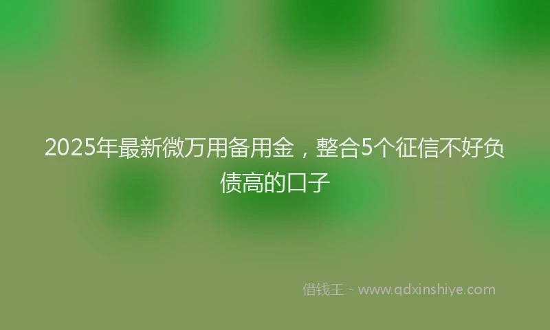 2025年最新微万用备用金，整合5个征信不好负债高的口子
