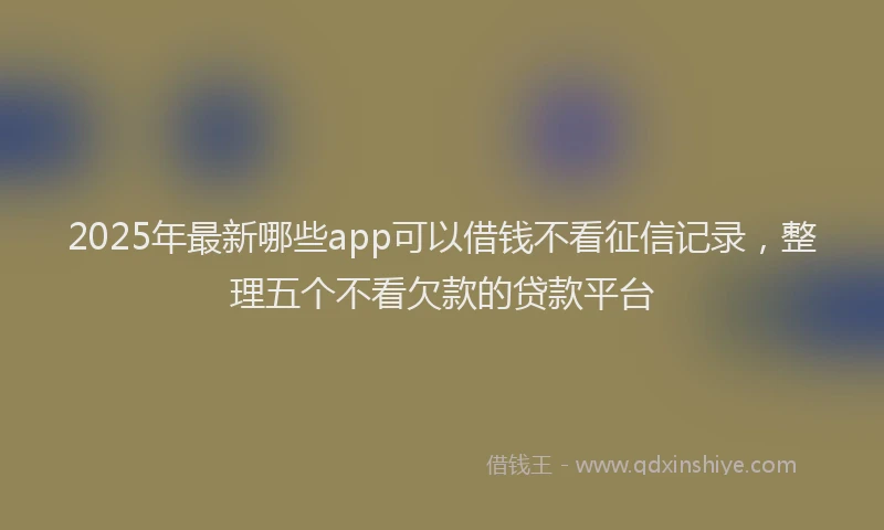 2025年最新哪些app可以借钱不看征信记录，整理五个不看欠款的贷款平台