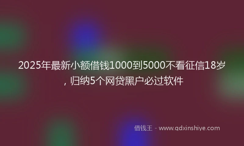 2025年最新小额借钱1000到5000不看征信18岁，归纳5个网贷黑户必过软件