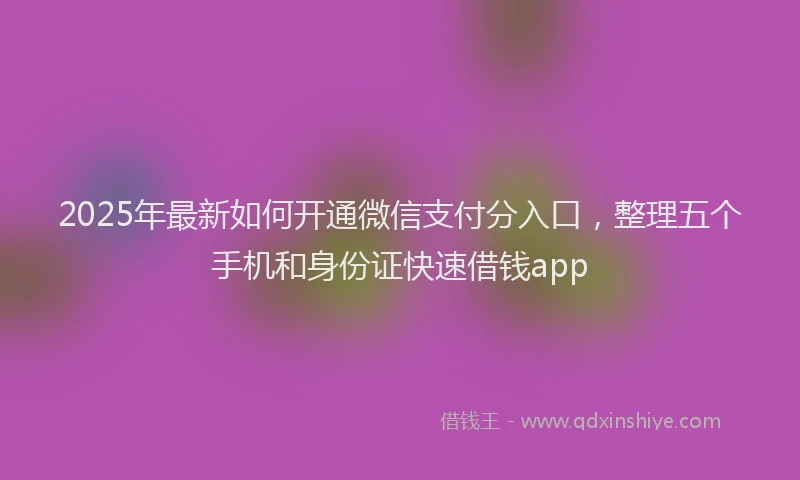 2025年最新如何开通微信支付分入口，整理五个手机和身份证快速借钱app