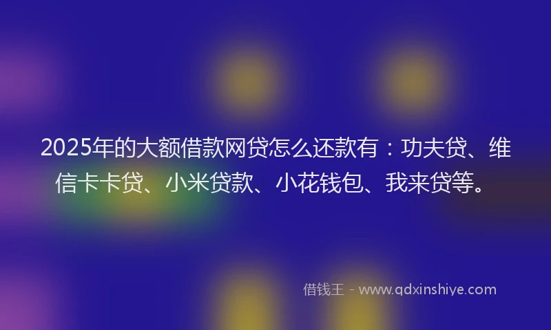 2025年的大额借款网贷怎么还款有：功夫贷、维信卡卡贷、小米贷款、小花钱包、我来贷等。
