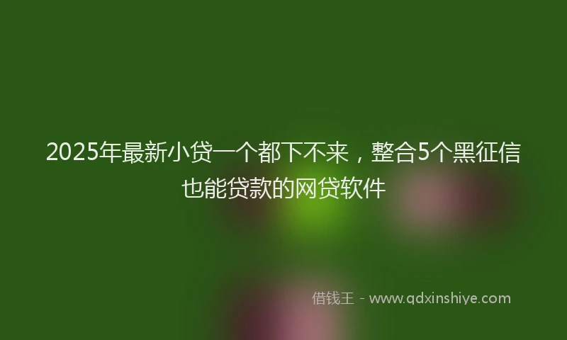 2025年最新小贷一个都下不来，整合5个黑征信也能贷款的网贷软件