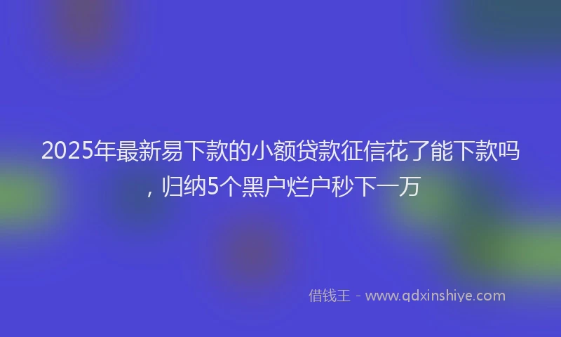 2025年最新易下款的小额贷款征信花了能下款吗，归纳5个黑户烂户秒下一万