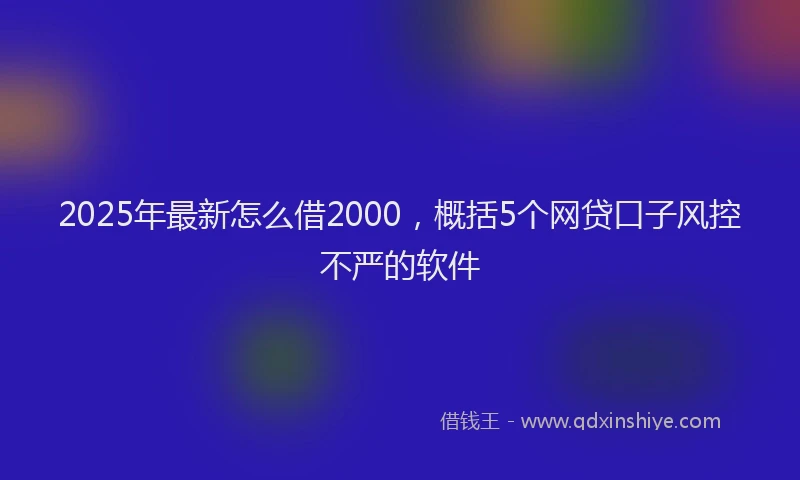 2025年最新怎么借2000，概括5个网贷口子风控不严的软件