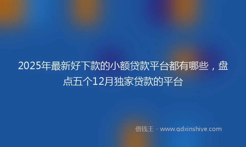2025年最新好下款的小额贷款平台都有哪些，盘点五个12月独家贷款的平台