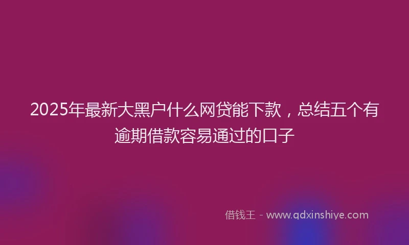 2025年最新大黑户什么网贷能下款，总结五个有逾期借款容易通过的口子