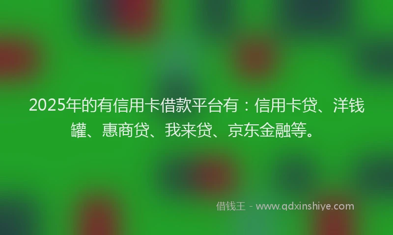 2025年的有信用卡借款平台有：信用卡贷、洋钱罐、惠商贷、我来贷、京东金融等。