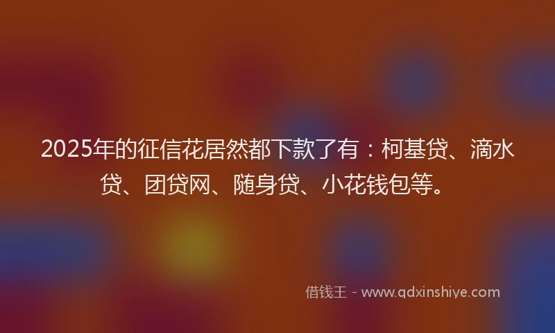 2025年的征信花居然都下款了有：柯基贷、滴水贷、团贷网、随身贷、小花钱包等。