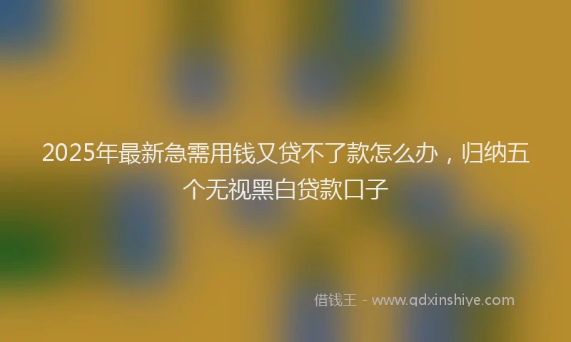 2025年最新急需用钱又贷不了款怎么办，归纳五个无视黑白贷款口子