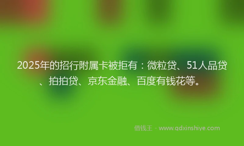 2025年的招行附属卡被拒有：微粒贷、51人品贷、拍拍贷、京东金融、百度有钱花等。