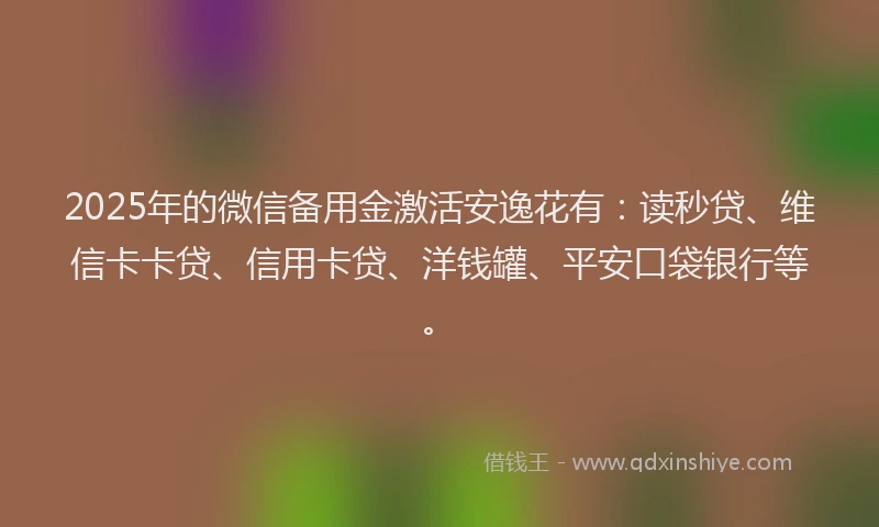 2025年的微信备用金激活安逸花有：读秒贷、维信卡卡贷、信用卡贷、洋钱罐、平安口袋银行等。