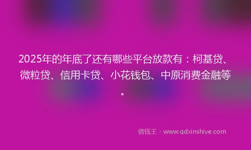 2025年的年底了还有哪些平台放款有：柯基贷、微粒贷、信用卡贷、小花钱包、中原消费金融等。