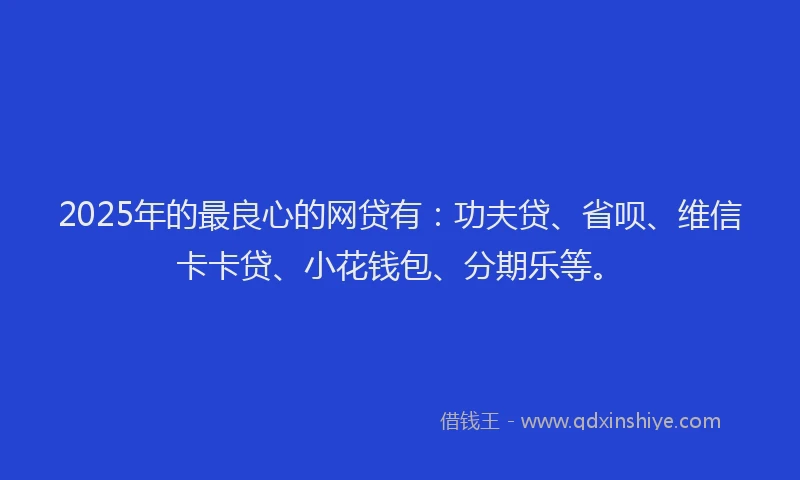 2025年的最良心的网贷有：功夫贷、省呗、维信卡卡贷、小花钱包、分期乐等。