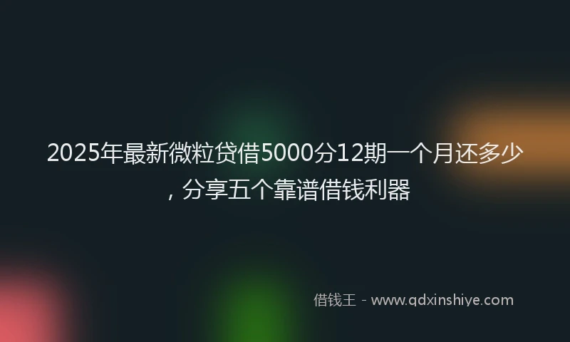 2025年最新微粒贷借5000分12期一个月还多少，分享五个靠谱借钱利器