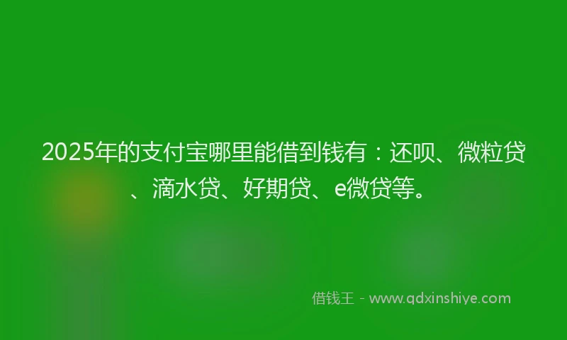 2025年的支付宝哪里能借到钱有：还呗、微粒贷、滴水贷、好期贷、e微贷等。