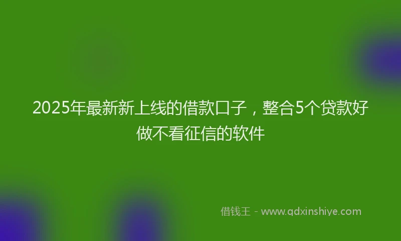 2025年最新新上线的借款口子，整合5个贷款好做不看征信的软件
